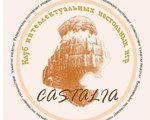 10 мая в клубе настольных игр «Касталия» прошел турнир по настольной игре «100000 лет до нашей эры».