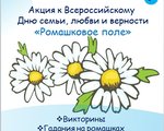 Акция к Всероссийскому  Дню семьи, любви и верности «Ромашковое поле»